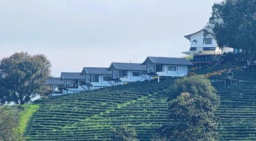 Mae Fa Luang Maison | WATA KHIRI by Wang Put Tan