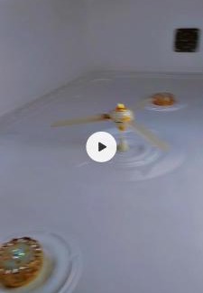 Bagrāmī Maison | Sherzaman Ghazi