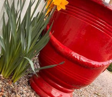 Sees Maison | Maison chaleureuse