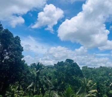 Koggala Maison | Cinnamon Tree House