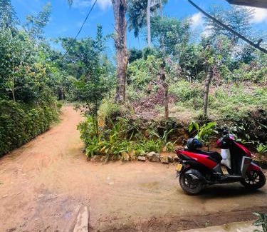 Koggala Maison | Cinnamon Tree House