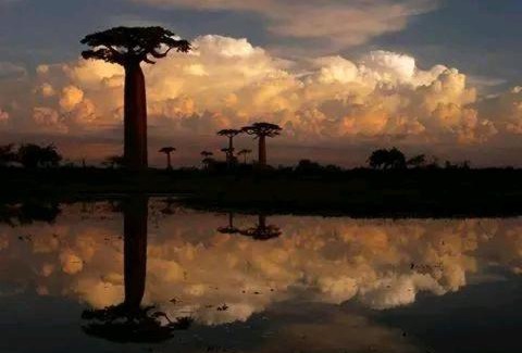Morondava Autre | Madagascarmystery Tour Operator