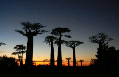 Morondava Autre | Madagascarmystery Tour Operator