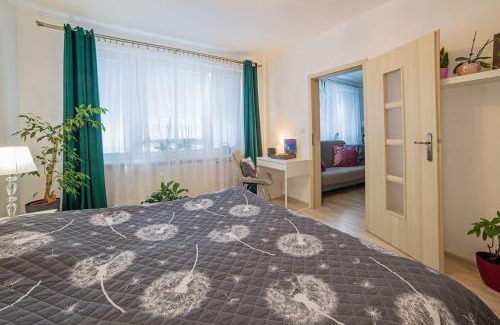 Banska Stiavnica Appartement | Apartmán Schemnitz Classic