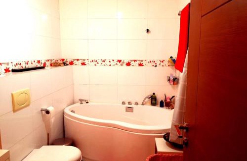 Cluj-Napoca Appartement | Cozy Flat Buna Ziua Cluj Napoca