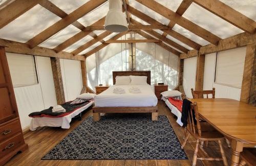 Newport Autre | NATURA Wilderness