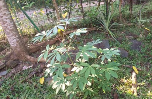 Bandrele Maison | Sud mayotte TSIMKOURA