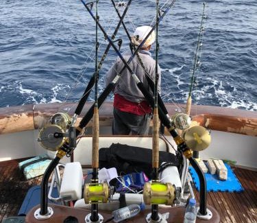 Durrat Al-Arous Location De Bateaux | Sharmaui
