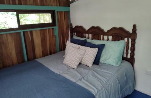 Chachagua Autre | Habitación rodeada de las copas de los árboles