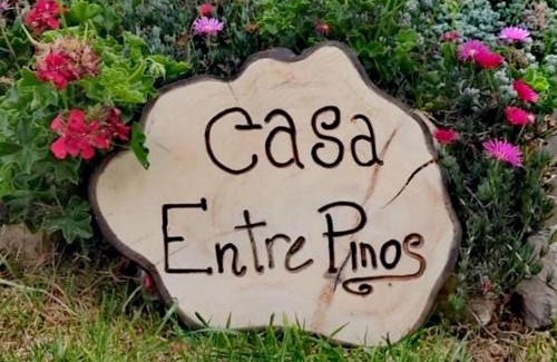 Susa Maison | Casa Entre Pinos susa