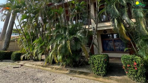 Nicoya Hôtel | Hotel rio grande Nicoya