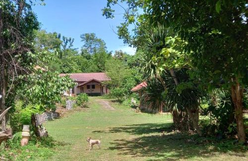 Sai Yok Maison | เนินอิ่มเอมโฮมเสตย์
