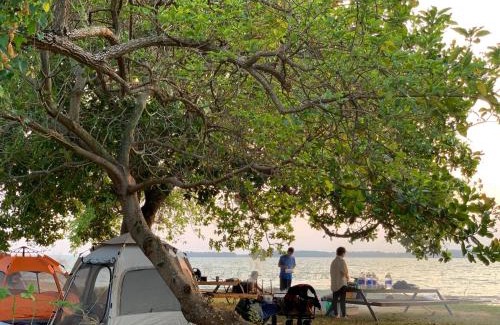 Vinh Cuu Autre | Alpha Camping - Hồ Trị An