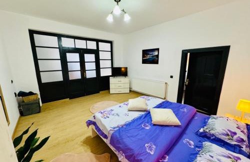 Sighisoara Appartement | Maria Studio And Apartment