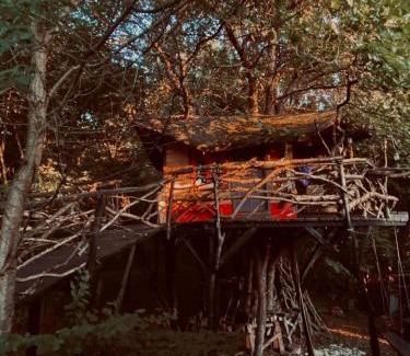 Cluj-Napoca Autre | Forest TreeHouse