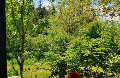 Cluj-Napoca Autre | Forest TreeHouse