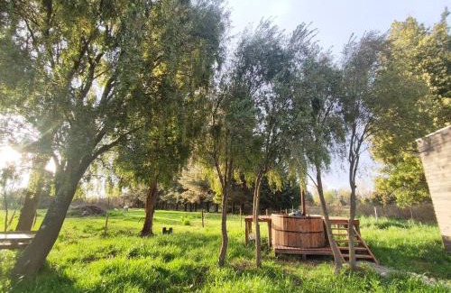 Cabrero Maison | Quinta Los Cipreses