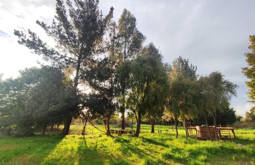 Cabrero Maison | Quinta Los Cipreses