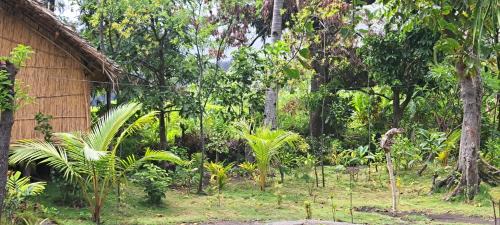 Tanna Island Maison | White Sand Ocean View Bungalow and Tours