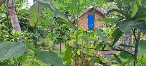Tanna Island Maison | White Sand Ocean View Bungalow and Tours