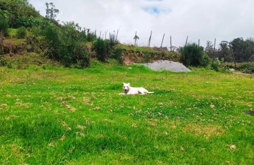 Ooty Station Balnéaire | ooty dreams resort