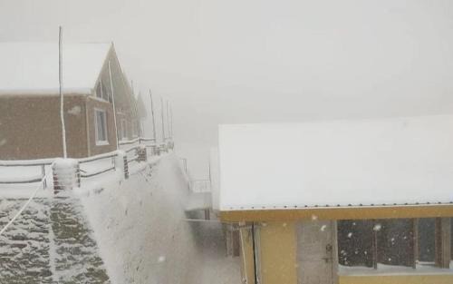 Fagu Hôtel | Zazroo Cafe and Mud Cottages (Duplexes)