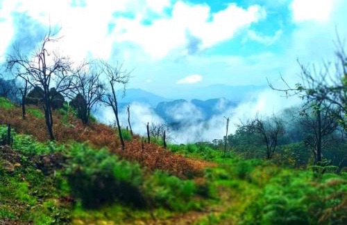 Kodaikanal Station Balnéaire | The Place ...The Experience