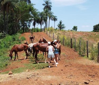 Casa Branca Maison | Fazenda Cachoeira