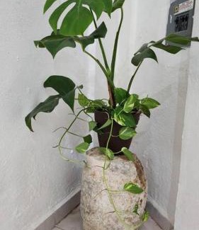 Uman Appartement | Casa Rouge