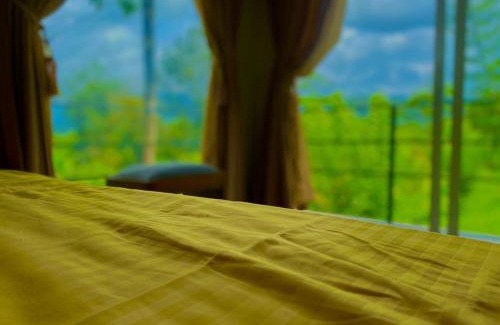 Nelluwa Hôtel | Mist of Sinharaja Eco Lodge