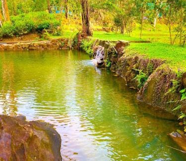 Nelluwa Hôtel | Mist of Sinharaja Eco Lodge