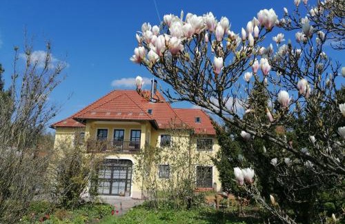 Obertrubach Appartement | Apfelbluete und Paradies