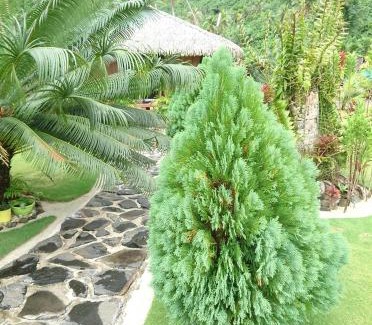 Huahine Appartement | Rops Location Huahine