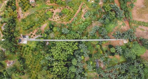 San Mateo Autre | UCM Adventure Park