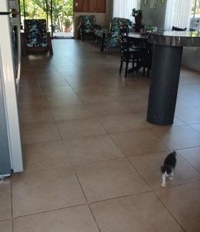 Bijagua Maison | Casa Isabella