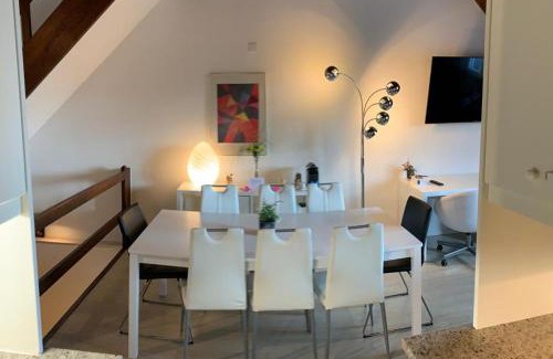 Neuchatel Hôtel | Superbe Duplex Vue Château et Lac