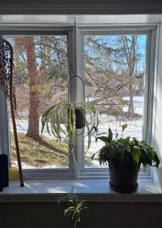 Ottawa Division Maison | Nature Retreat in the city