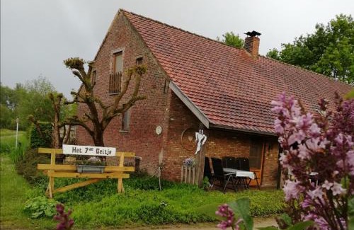 Veerle Maison | Het zevende geitje