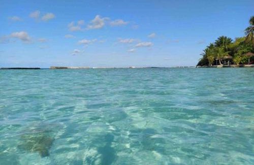 Thinadhoo Maison | Oyster Residence