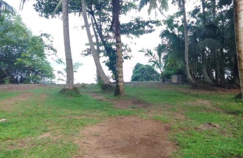 Darga Town Appartement | Bentota River Edge Home