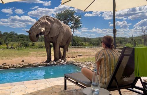 Okaukuejo Cabine | Ongava Tented Camp
