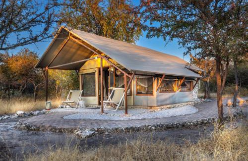 Tsumeb Station Balnéaire | Mushara Bush Camp
