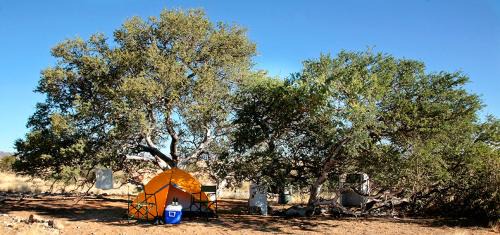 Solitaire Autre | Namib Desert Campsite