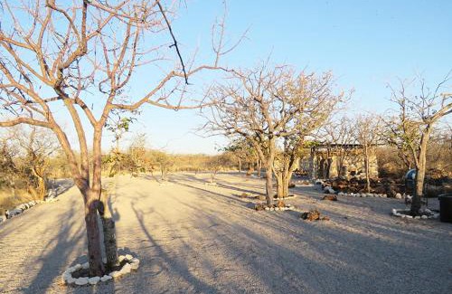 Okaukuejo Autre | Etosha Village Campsite