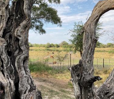 Namibia Autre | Mukuku Rest Camp