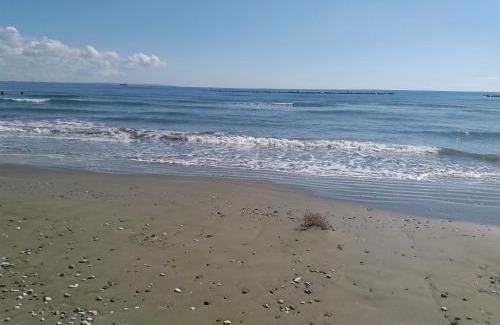 Livadia Appartement | Entire Garden Studio 1km from the sea