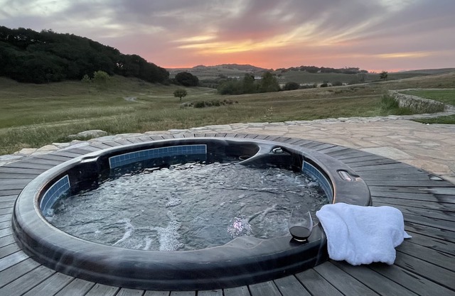 Large multi-story country house on 14 acres with vineyard views