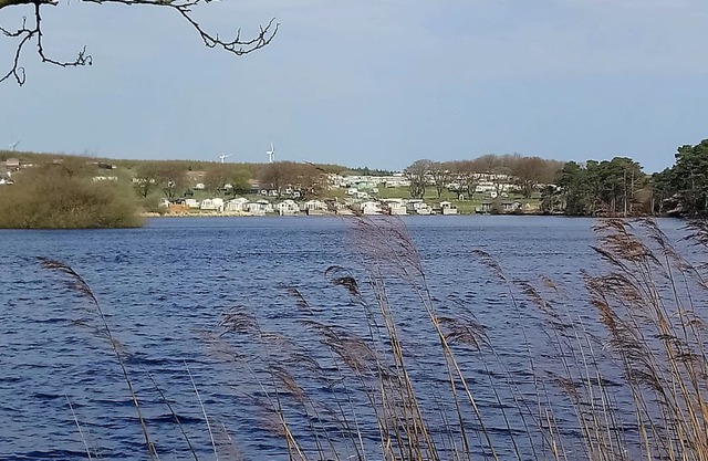 Location d'une caravane statique en bordure de la forêt de Galloway