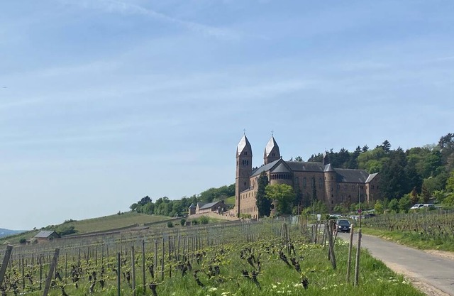 Weinwandernwald im Rheingau
