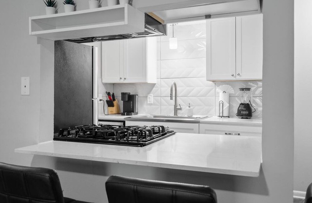 Stylish 1BR | Zilker | Evonify 6703